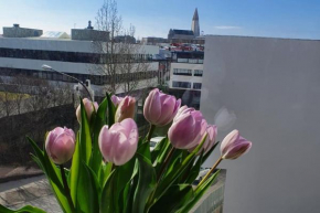 Lovely modern 1-bedroom apartment, free parking